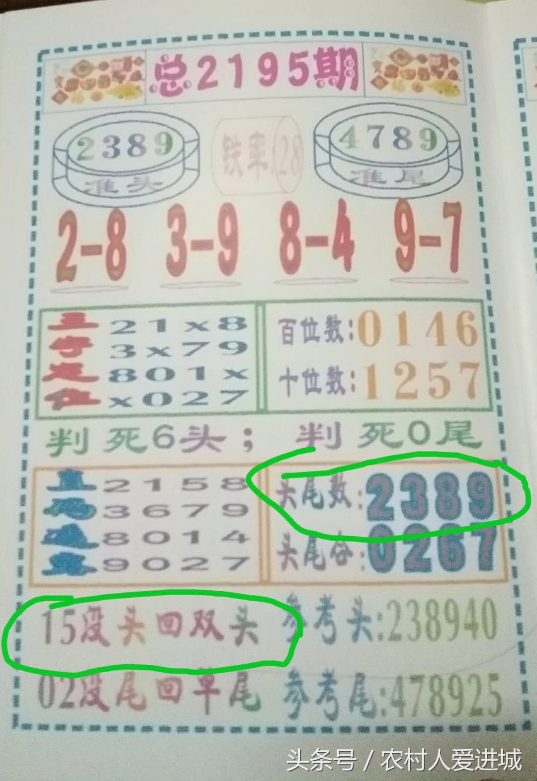揭秘百分百准确一码一肖的神秘预测，探寻最准一码一肖的秘密最准一码一肖100%噢,揭秘百分百准确一码一肖的神秘预测